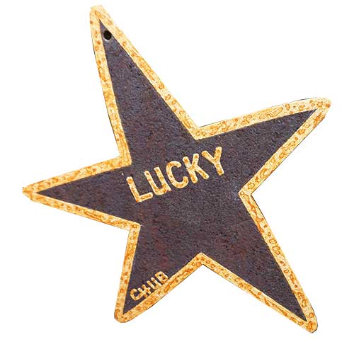 Chub Hubbard Lucky Star 7" WP1657 SOLD